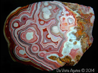 Is This An Agate Puzzle Picture: Crazy Lace
