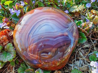 Is This An Agate Puzzle Picture: Superior Flower