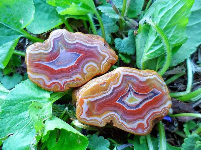 Fairburn agate photographed on floral bed